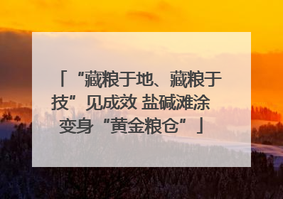 “藏粮于地、藏粮于技”见成效 盐碱滩涂变身“黄金粮仓”