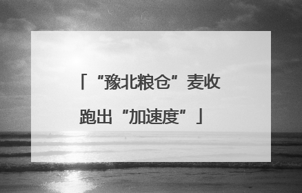 “豫北粮仓”麦收跑出“加速度”