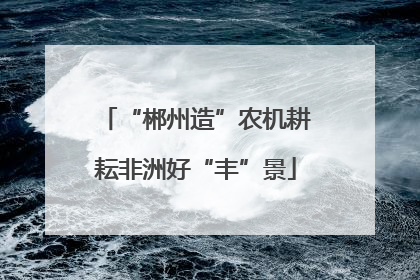“郴州造”农机耕耘非洲好“丰”景