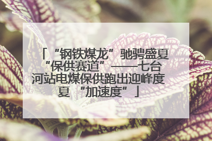 “钢铁煤龙”驰骋盛夏 “保供赛道”——七台河站电煤保供跑出迎峰度夏 “加速度”