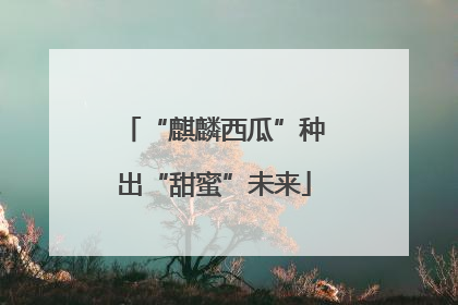 “麒麟西瓜”种出“甜蜜”未来