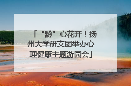 “黔”心花开！扬州大学研支团举办心理健康主题游园会