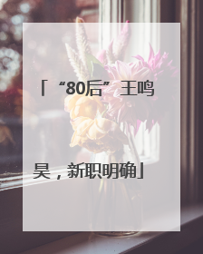 “80后”王鸣昊，新职明确