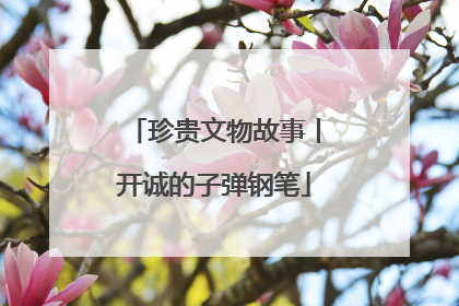 珍贵文物故事丨开诚的子弹钢笔