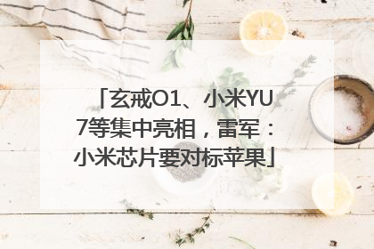 玄戒O1、小米YU7等集中亮相，雷军：小米芯片要对标苹果