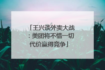 王兴谈外卖大战：美团将不惜一切代价赢得竞争