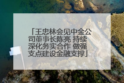 王忠林会见中金公司董事长陈亮 持续深化务实合作 做强支点建设金融支撑