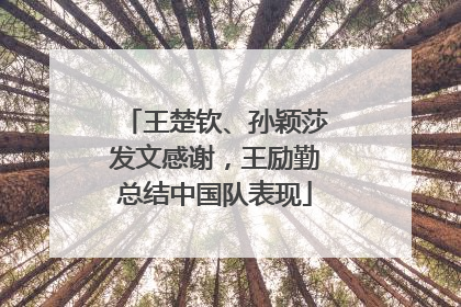 王楚钦、孙颖莎发文感谢，王励勤总结中国队表现