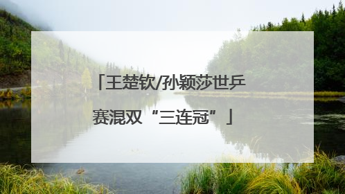王楚钦/孙颖莎世乒赛混双“三连冠”