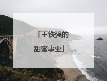 王铁强的甜蜜事业