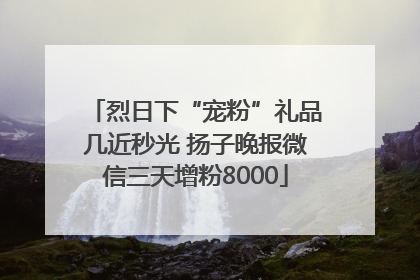 烈日下“宠粉”礼品几近秒光 扬子晚报微信三天增粉8000