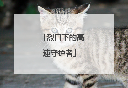 烈日下的高速守护者