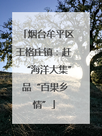 烟台牟平区王格庄镇：赶“海洋大集” 品“百果乡情”