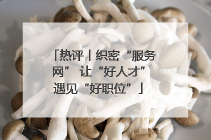 热评丨织密“服务网” 让“好人才”遇见“好职位”