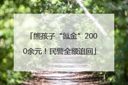 熊孩子“氪金”2000余元！民警全额追回