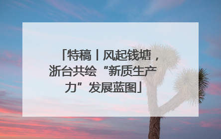 特稿丨风起钱塘，浙台共绘“新质生产力”发展蓝图