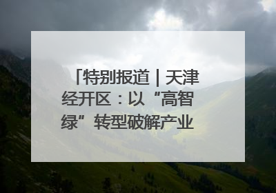 特别报道｜天津经开区：以“高智绿”转型破解产业升级压力