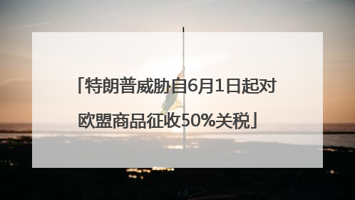 特朗普威胁自6月1日起对欧盟商品征收50%关税