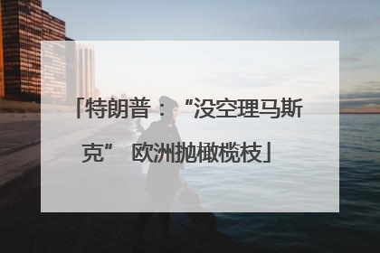 特朗普：“没空理马斯克” 欧洲抛橄榄枝