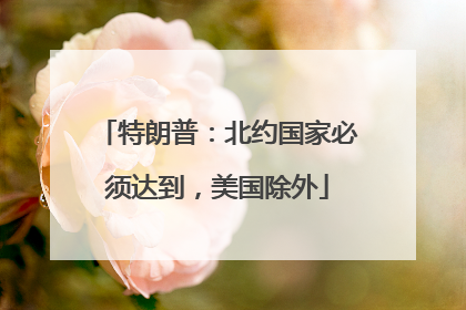 特朗普：北约国家必须达到，美国除外