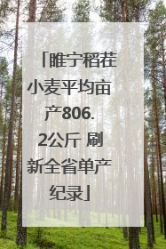 睢宁稻茬小麦平均亩产806.2公斤 刷新全省单产纪录