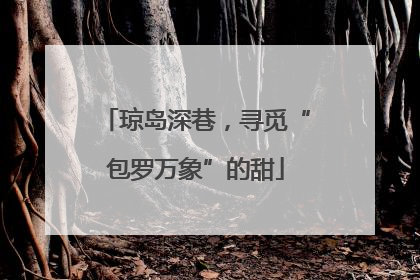 琼岛深巷，寻觅“包罗万象”的甜