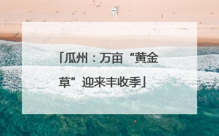 瓜州：万亩“黄金草”迎来丰收季