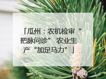 瓜州：农机检审“把脉问诊” 农业生产“加足马力”