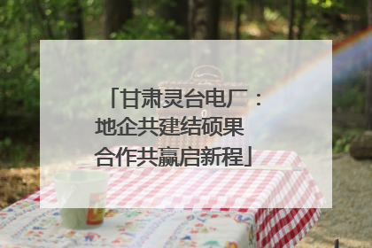 甘肃灵台电厂：地企共建结硕果 合作共赢启新程