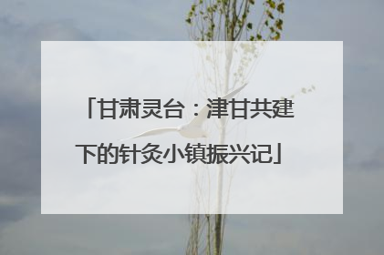 甘肃灵台：津甘共建下的针灸小镇振兴记