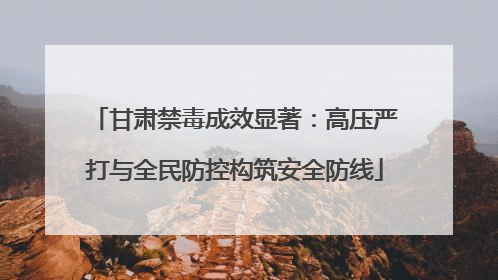 甘肃禁毒成效显著：高压严打与全民防控构筑安全防线