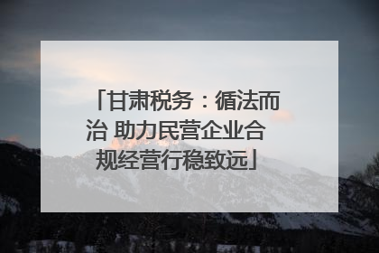 甘肃税务：循法而治 助力民营企业合规经营行稳致远
