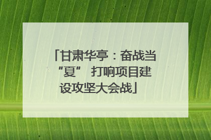 甘肃华亭：奋战当“夏” 打响项目建设攻坚大会战