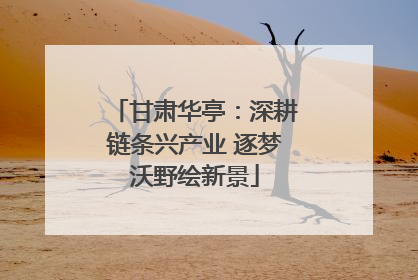 甘肃华亭：深耕链条兴产业 逐梦沃野绘新景