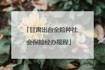 甘肃出台全险种社会保险经办规程