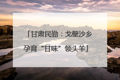 甘肃民勤：戈壁沙乡孕育“甘味”领头羊