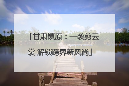 甘肃镇原：一袭剪云裳 解锁跨界新风尚