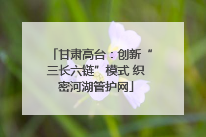 甘肃高台：创新“三长六链”模式 织密河湖管护网