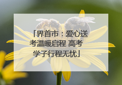 界首市：爱心送考温暖启程 高考学子行程无忧