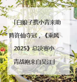 白娘子携小青来助阵许仙夺冠，《乘风2025》总决赛小青战袍来自吴江