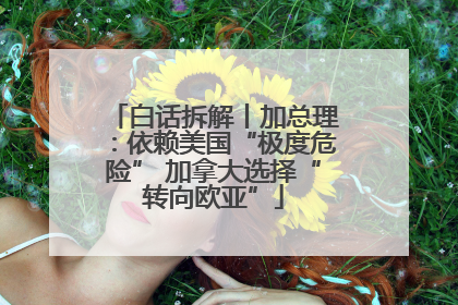 白话拆解丨加总理：依赖美国“极度危险” 加拿大选择“转向欧亚”