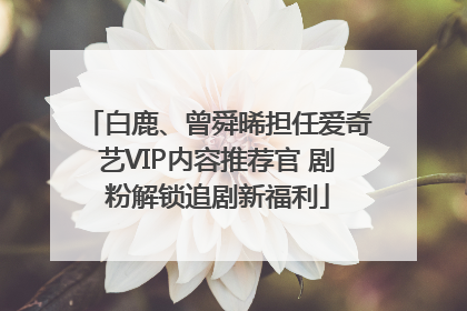 白鹿、曾舜晞担任爱奇艺VIP内容推荐官 剧粉解锁追剧新福利