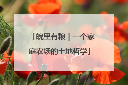 皖里有粮｜一个家庭农场的土地哲学