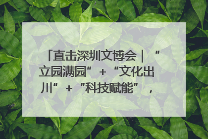 直击深圳文博会｜“立园满园”+“文化出川”+“科技赋能”，成都传媒发布三大文创领域合作清单