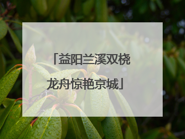益阳兰溪双桡龙舟惊艳京城