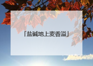 盐碱地上麦香溢