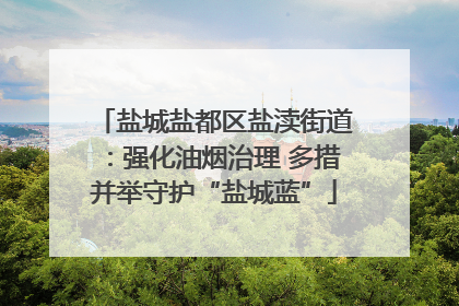 盐城盐都区盐渎街道：强化油烟治理 多措并举守护“盐城蓝”