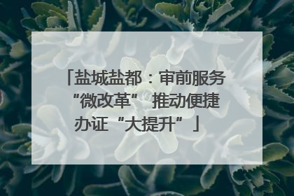 盐城盐都：审前服务“微改革” 推动便捷办证“大提升”