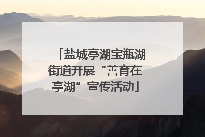 盐城亭湖宝瓶湖街道开展“善育在亭湖”宣传活动