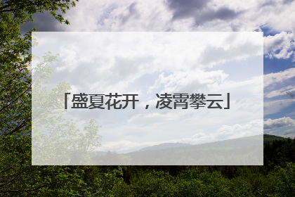 盛夏花开，凌霄攀云